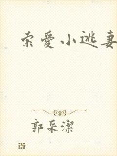 索爱小逃妻