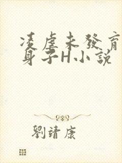 凌虐未发育的小身子H小说