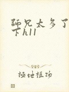 师兄太多了装不下h11