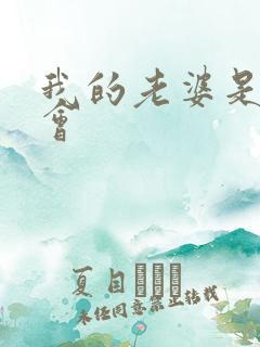 我的老婆是黑社会