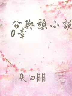 公与憩小说400章