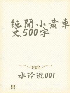 纯开小黄车小短文500字