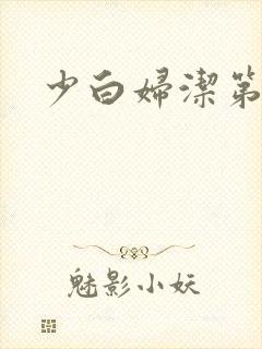 少白妇洁第二部
