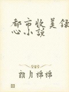 都市收美录宁素心小说