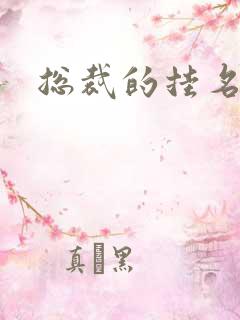 总裁的挂名娇妻