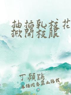 抽插乳校花老师掀开校服