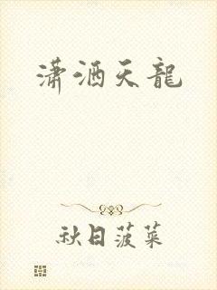 潇洒天龙