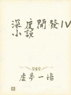 深度开发1V3小说