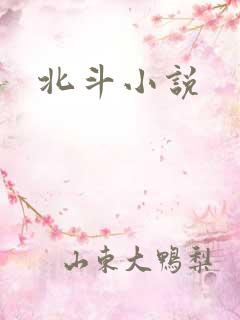 北斗小说