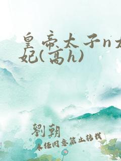 皇帝太子n太子妃(高h)