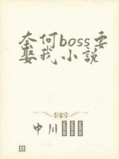 奈何boss要娶我小说