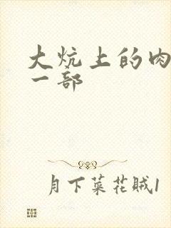 大炕上的肉伦第一部