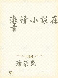 激情小说在线观看