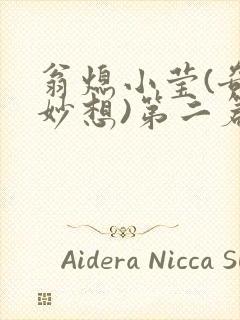 翁熄小莹(奇思妙想)第二篇