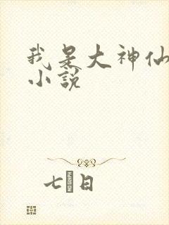 我是大神仙时江小说