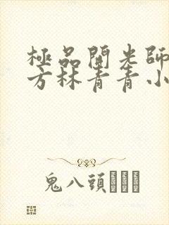 极品开光师李南方林青青小说免费阅读