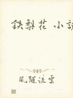 铁梨花 小说