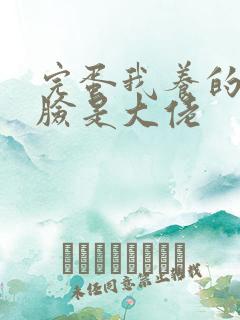 完蛋我养的小白脸是大佬