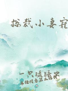 总裁小妻宠上天