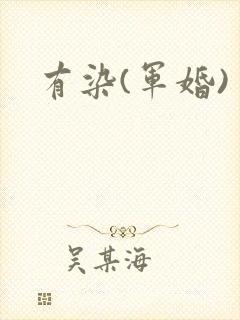 有染(军婚)