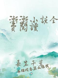 渐渐小说全文免费阅读