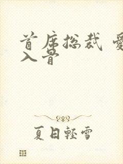 首席总裁 爱你入骨