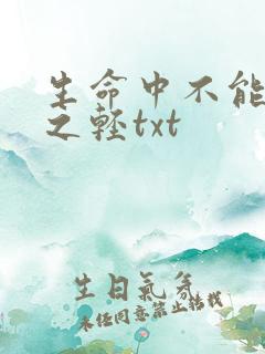 生命中不能承受之轻txt
