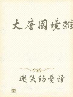 大唐国境杂货店