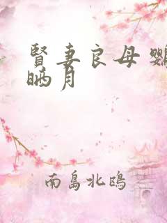 贤妻良母 鹦鹉晒月