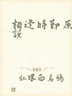 相逢时节原著小说