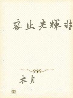 容止光辉非世人