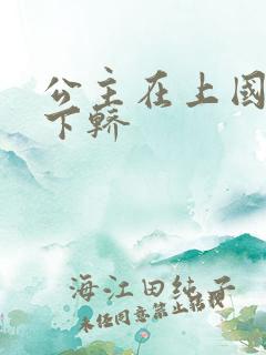 公主在上国师请下轿