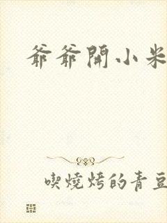 爷爷开小米的处