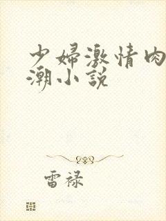 少妇激情肉欲高潮小说