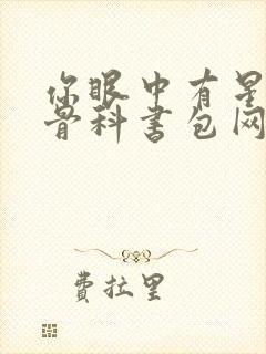 你眼中有星辰h骨科书包网