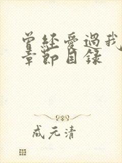 曾经爱过我刘念章节目录