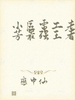 小区电工老周刘芳最强王者