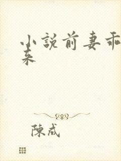 小说前妻乖乖回来