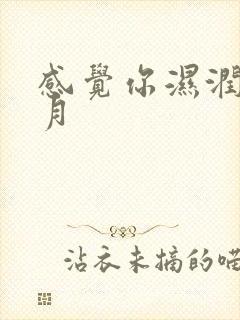 感觉你湿润我四月