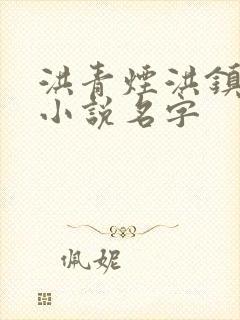 洪青烟洪镇国的小说名字