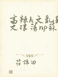 高辣h文乱乳h文浪荡np苏夏