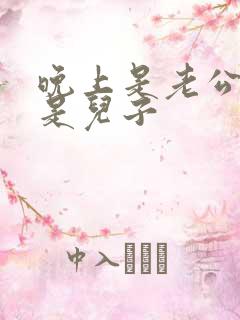 晚上是老公白天是儿子