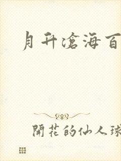 月升沧海百度云