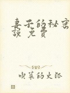 妻子的秘密 小说 免费