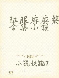 征服麻麻系列大合集小说