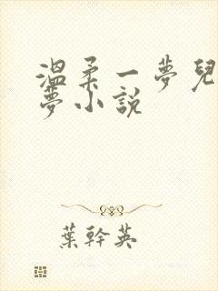 温柔一梦儿媳林梦小说