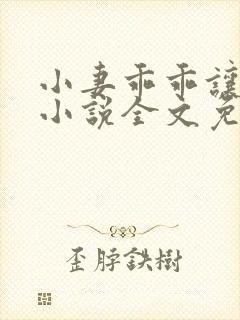 小妻乖乖让我宠小说全文免费阅读