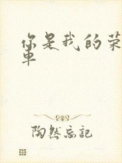 你是我的荣耀肉车