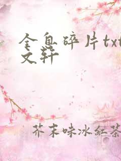 全息碎片txt文轩