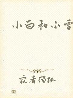小白和小雪